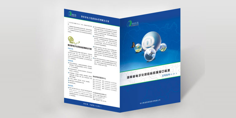 湖南省招投標數(shù)據(jù)標準接口應(yīng)用指導